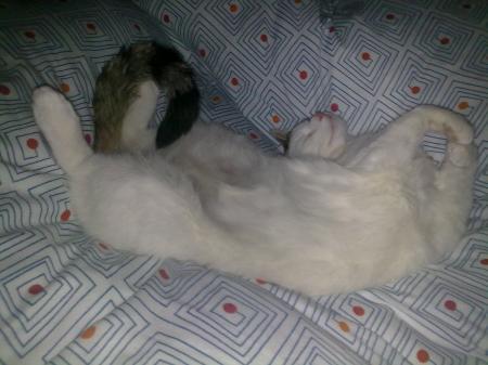 Bild zu 