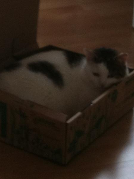 Bild zu 
