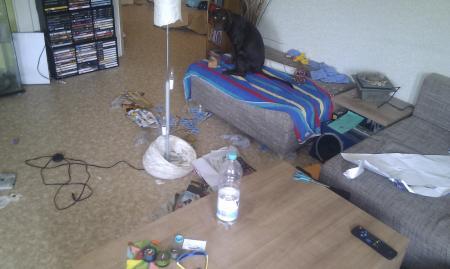 Bild zu