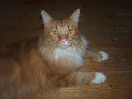Bild zu