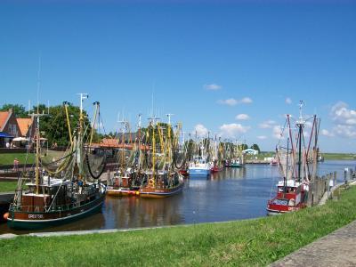 Bild zu Gibt es hier Interessierte für Ferienhausurlaub an der Nordsee /Greetsiel?? - Haustiere