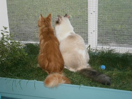 Bild zu
