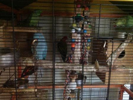 Bild zu 