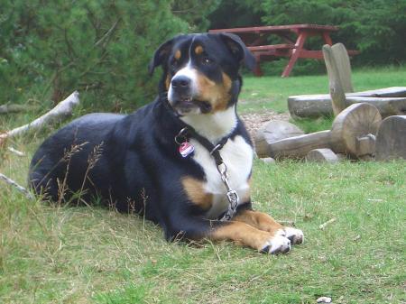 Bild zu