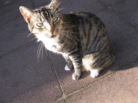 Bild zu 