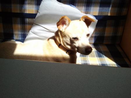 Bild zu 