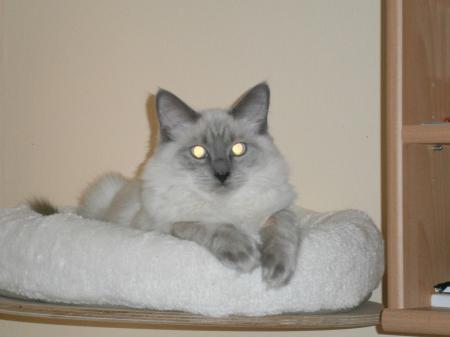 Bild zu