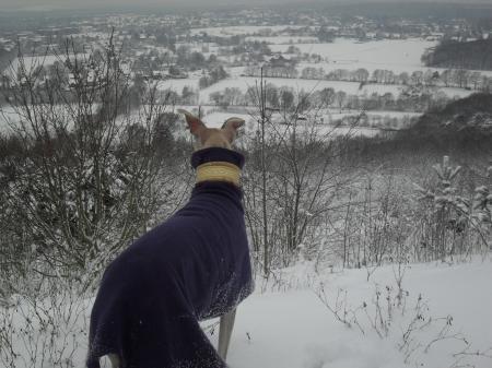 Bild zu