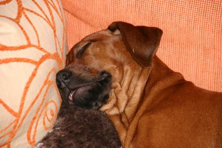 Bild zu