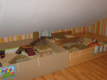 Bild zu