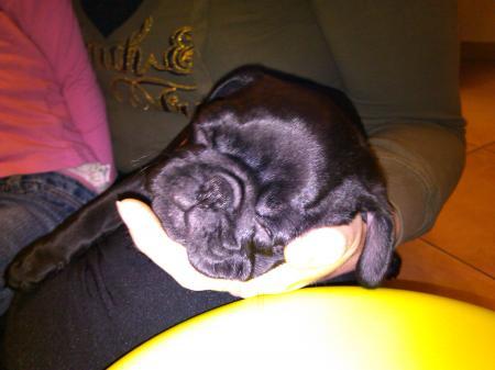 Bild zu