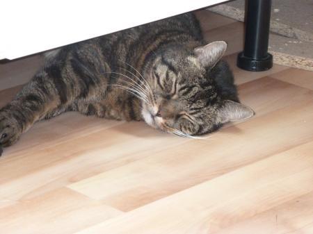 Bild zu 