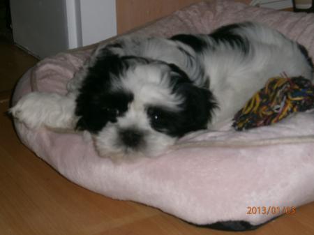 Bild zu 
