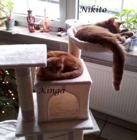 Bild zu