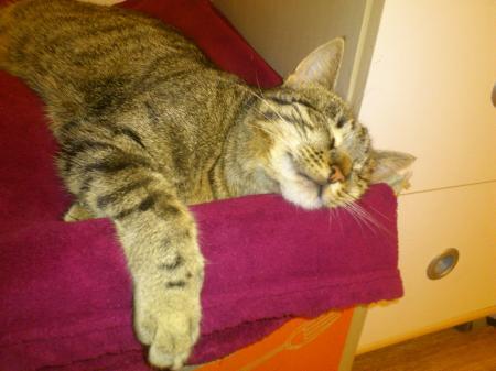 Bild zu