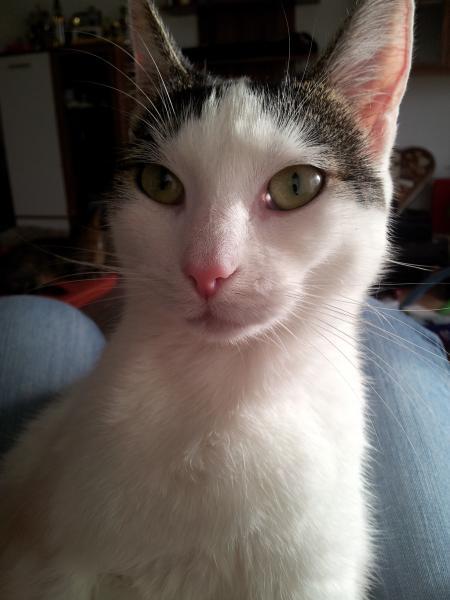 Bild zu