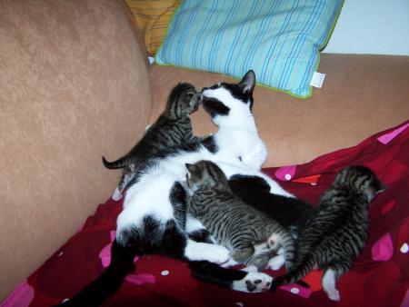 Bild zu