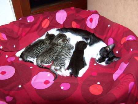 Bild zu
