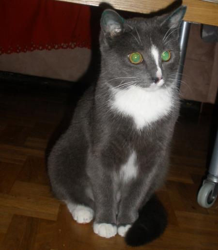 Bild zu