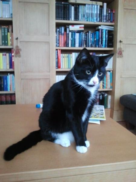Bild zu