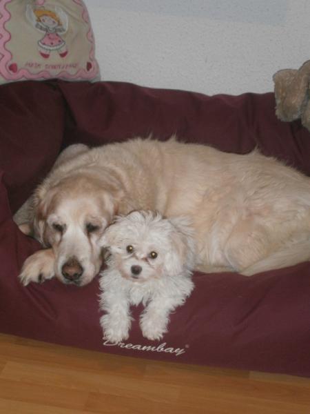 Bild zu 