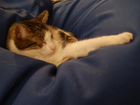 Bild zu