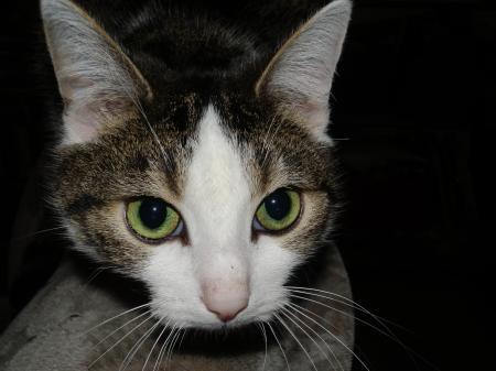 Bild zu