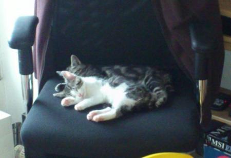 Bild zu