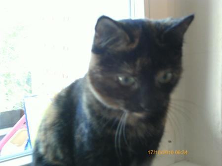 Bild zu