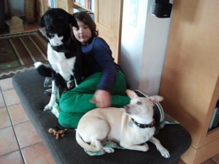 Bild zu 