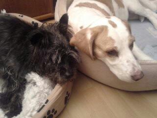 Bild zu 