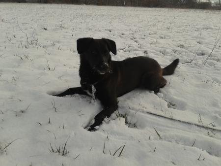 Bild zu 