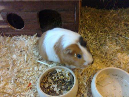 Bild zu 