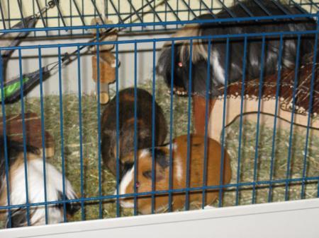 Bild zu 