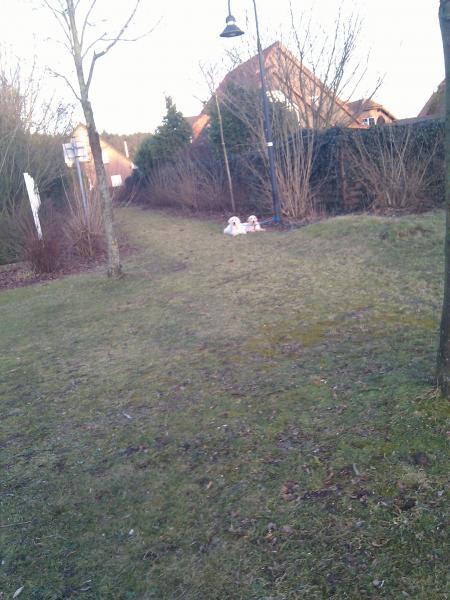 Bild zu