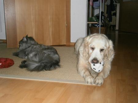 Bild zu