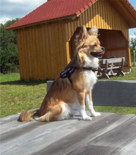 Bild zu