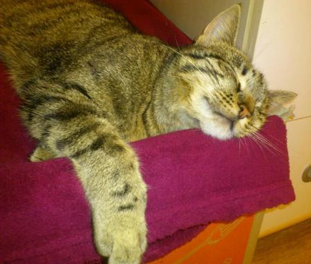 Bild zu