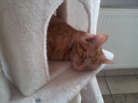 Bild zu 