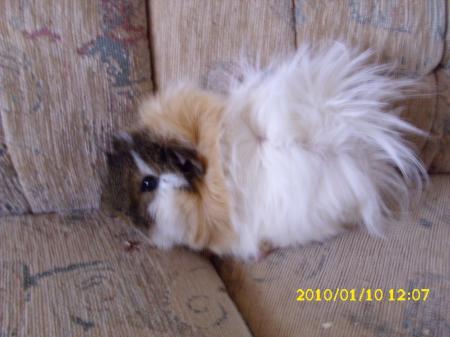 Bild zu 