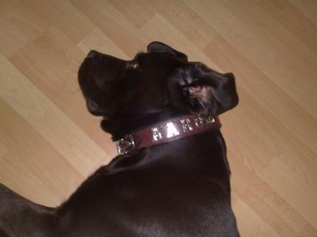 Bild zu 