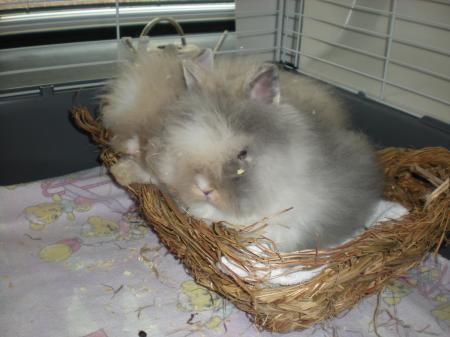 Bild zu 