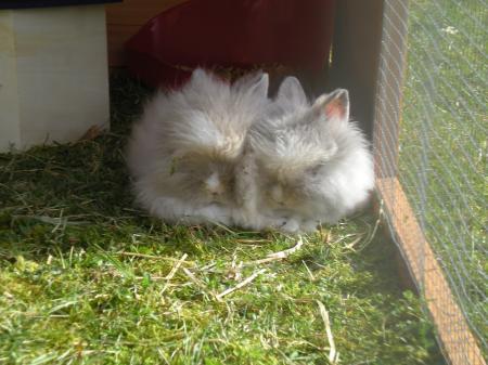 Bild zu 