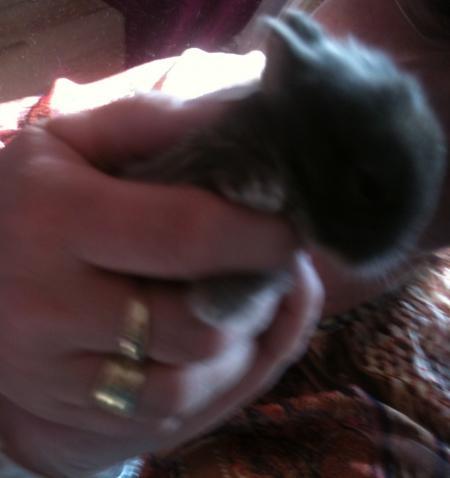 Bild zu 