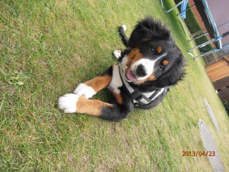Bild zu