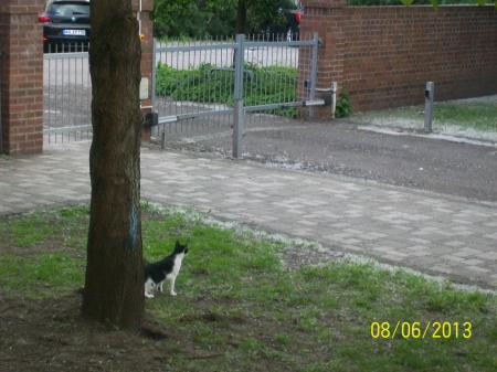 Bild zu