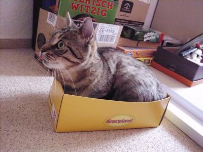 Bild zu ebay paket *grins* - Haustiere