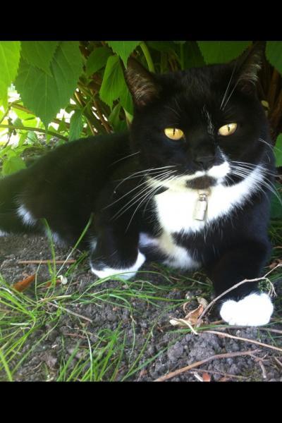 Bild zu @Fredda & TanjaS - Haustiere