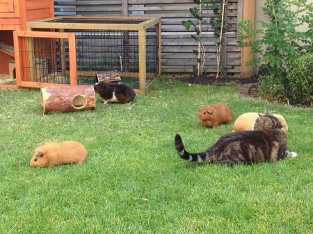 Bild zu