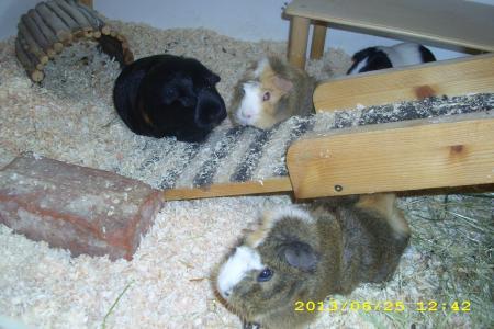 Bild zu